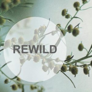 Etnobotanisk popup 2