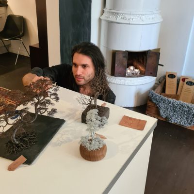 Julilidköping REKVISiTA Konst Desai